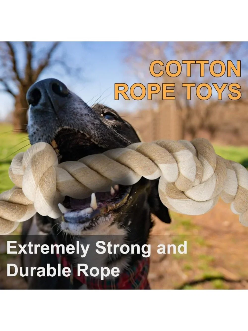 Durable Dog Rope Toy for Large Aggressive Chewers - 3ft Tug & Chew, Teeth